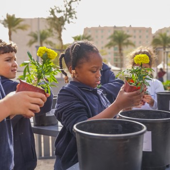 School Programs